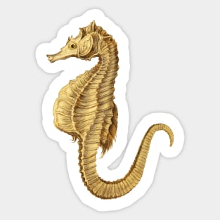 Hippocampus seahorse Sticker